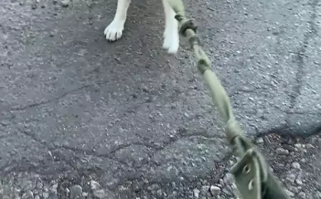 Не беги! Я не спортсменка