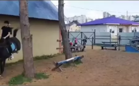 Лошади - опасное увлечение