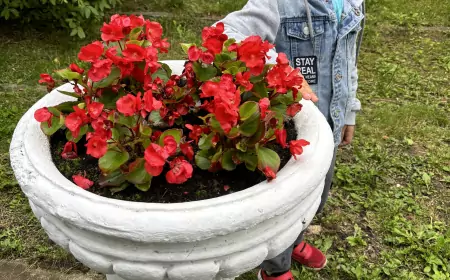 Статья знакомство и почему я здесь