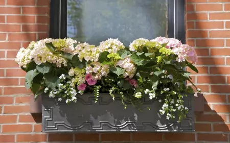 9 ароматных растений для цветочных ящиков, которые сделают ваш двор неотразимым