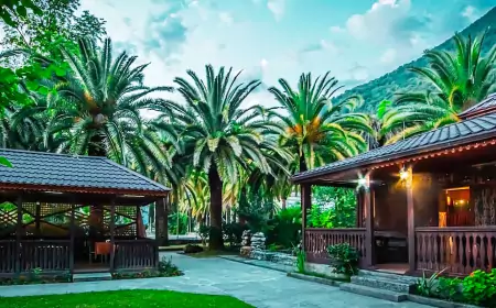 Стоит ли ехать в Абхазию в 2024 году: взгляд путешественника