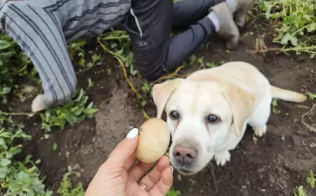 Бьюша о том, откуда у папы яйца?
