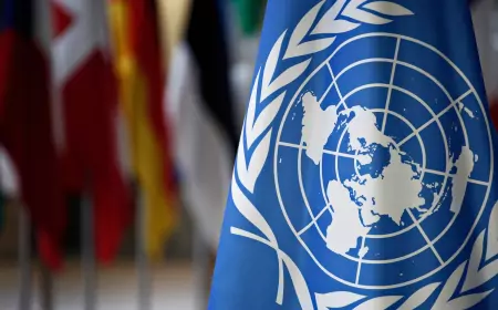 Венская дипломатическая конвенция