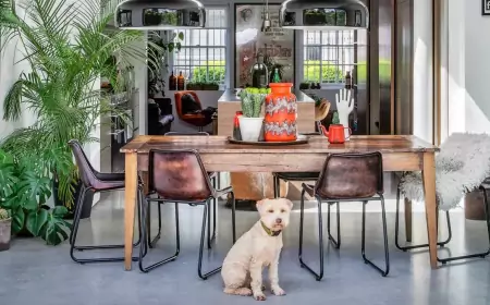 Безопасные для питомцев растения: 15 вариантов, которые не навредят кошкам и собакам