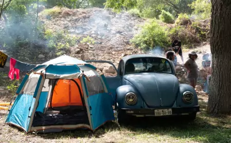 Жук Volkswagen: от прошлого к настоящему в Мексике