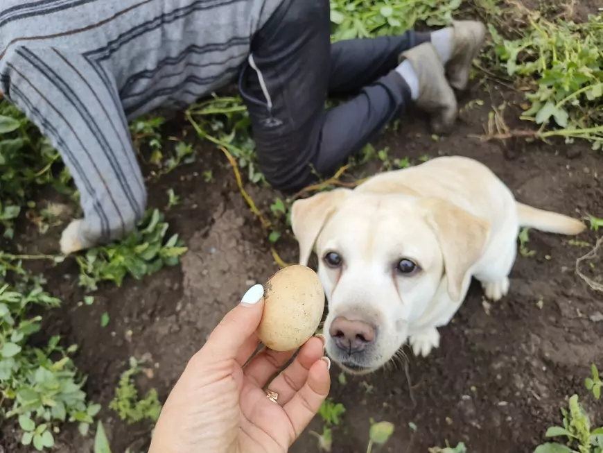 Бьюша о том, откуда у папы яйца?