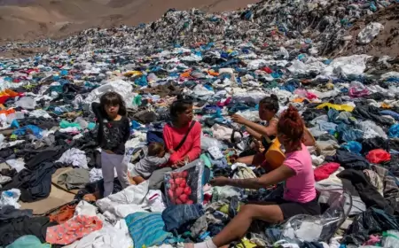 Вторая сторона экологической медали