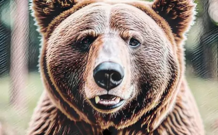 Медведь был шокирован поведением охотника. Правдивая история