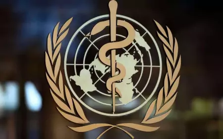 Всемирная организация здравоохранения