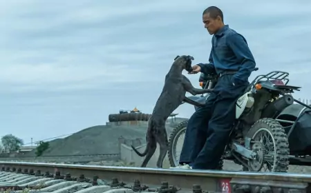 "Черный пёс" (2024) - китайская драма о двух изгоях