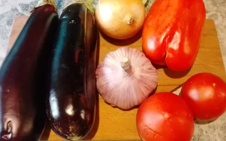 Тещин язык из баклажанов, перца и помидор как горячая закуска