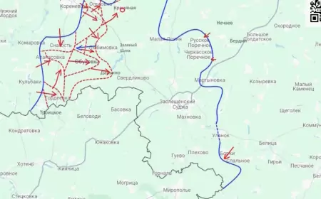 Юрий Подоляка: Свежая сводка СВО на 19 сентября 2024 года и карта боевых действий на сегодня.
