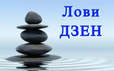 Что не так с Дзен: алгоритмы не работают, показов нет и вообще....