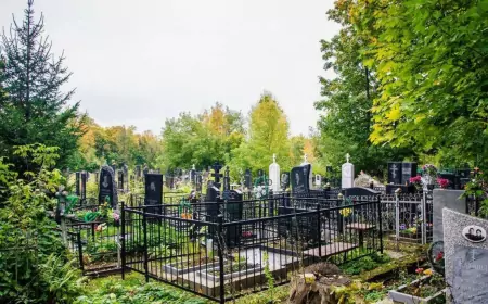 Новая эра похорон: как аквамация меняет наши представления о ритуалах прощания