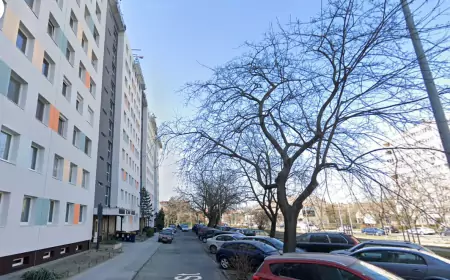 Иностранные коллеги о Москве: ничего, кроме панельных домов