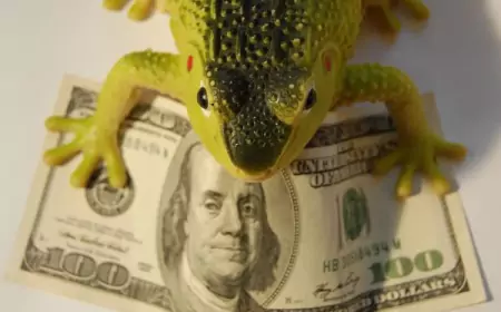 Вещи, на которых не стоит экономить, даже если вас душит жаба