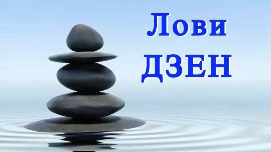 Что не так с Дзен: алгоритмы не работают, показов нет и вообще....