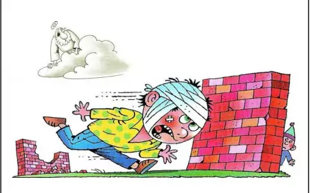 Есть такая профессия – жена президента