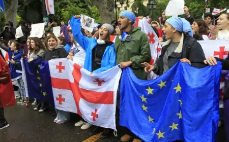 ЕС накачивало «демократию» Грузии миллионами евро