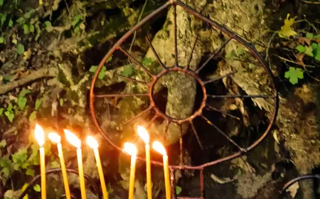В память о Докторе Шлягере