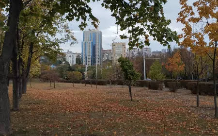 Донецк. Осень. Аллея Ангелов