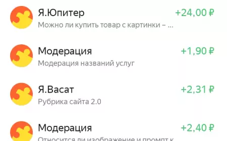 Реально ли заработать на Яндекс Заданиях ?