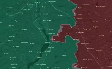 Сводка СВО на 20 октября 2024 года: активные боевые действия на Торецком, Покровском и Кураховском направлениях
