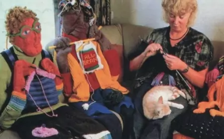 Тайна вязаной компании