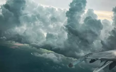 Утренняя сводка СВО на 22 октября 2024 года