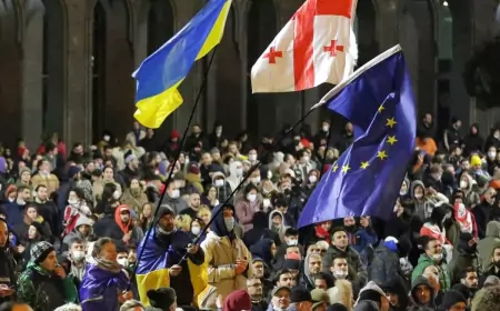 В Грузии к выборам готовят очередную революцию