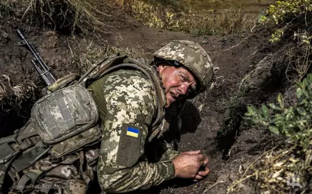 Хорошие новости с СВО на 29.10.2024 от Юрия Подоляки: Армия России прорвалась к Ясной Поляне!