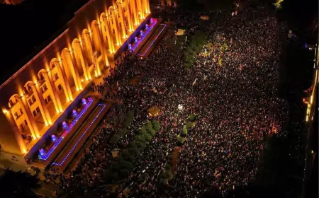 Протесты в Грузии: Как оппозиция пытается закрутить свою «Грузинскую мечту», но что-то пошло не так...