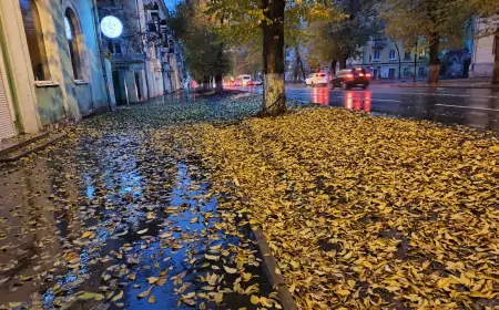 Противостояние осени и предзимья