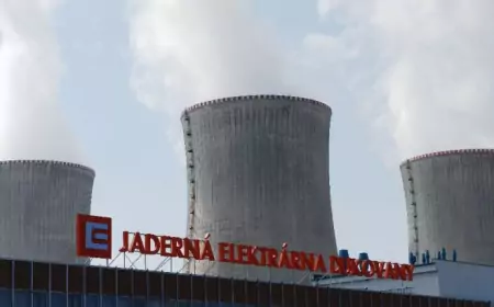 Договор с корейцами на Дукованы приостановлен