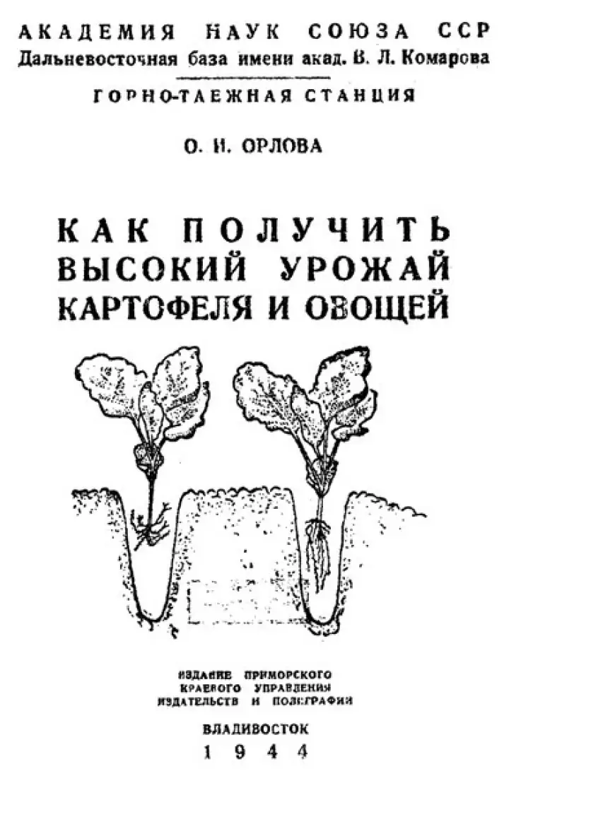 Как получить высокий урожай картофеля и овощей