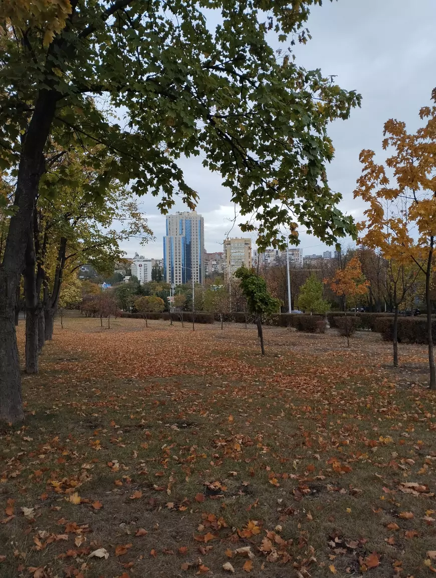 Донецк. Осень. Аллея Ангелов