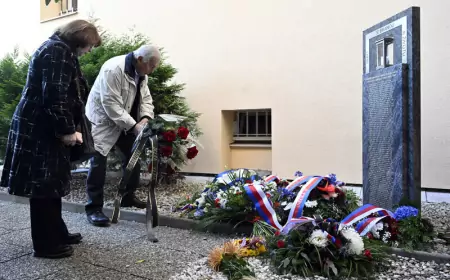День цинизма и политзаключенных