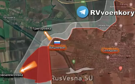 Хорошие новости с СВО на 3 октября 2024: ВС РФ наступают за Селидово, штурмуя Григоровку и выходя на окраины Новоалексеевки — оборона ВСУ под давлением