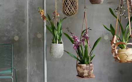 Рецепт почвенной смеси для орхидей, который должен знать каждый владелец этого "сложного" растения