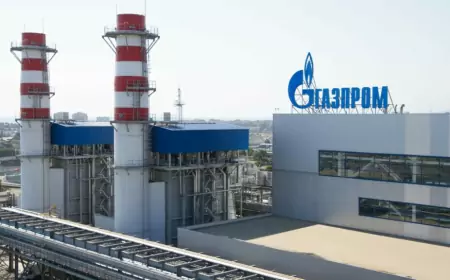 Назло бабушке отморожу уши