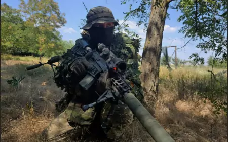 Срочные новости с СВО от Юрия Подоляка на 07.11.2024: Армия РФ освободила н.п. Новоалексеевка