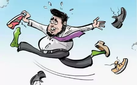 Чешские политики о победе Трампа