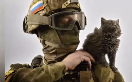 Оперативная сводка СВО на утро 8 ноября 2024 года