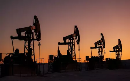 Лицемерие антироссийских санкций