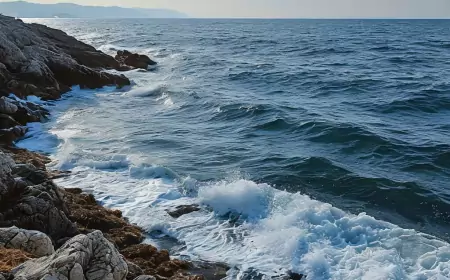 Праздник Черного моря