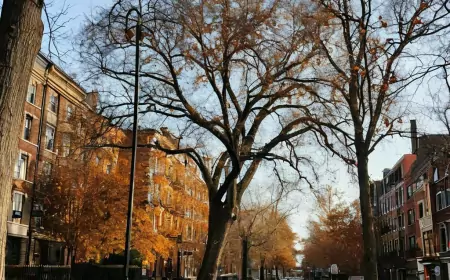Ноябрь – мостик между осенью и зимой
