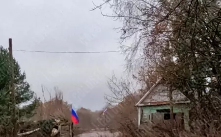 Срочные новости СВО 15.11.2024: ДРГ ВС РФ зашли на территорию Черниговской области