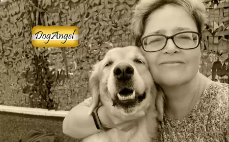 Начинаем на Талкай-е!