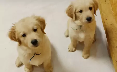 Эххх... первое разочарование, но и первый вызов )))