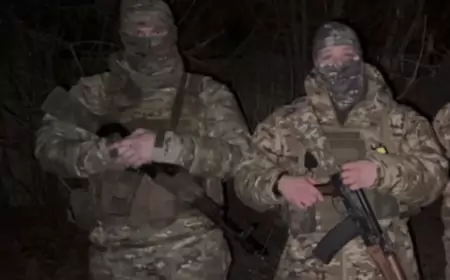 Сводка СВО 27.11.2024 года: Курахово скоро падёт, войска РФ заняли уже 60% города